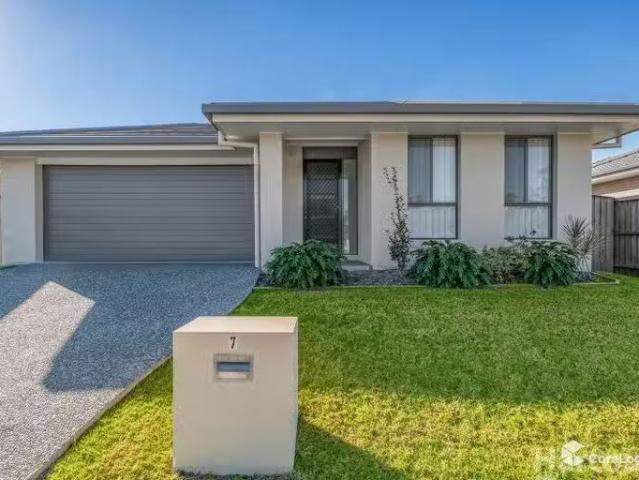 Cozy 4 BR 7 Graduation Street, Thrumster, NSW 2444 House for.