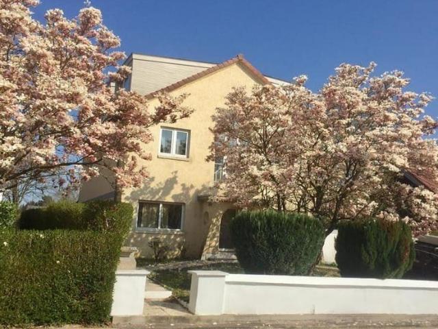Nice 5 bedrooms villa at Tervuren Museum and British School