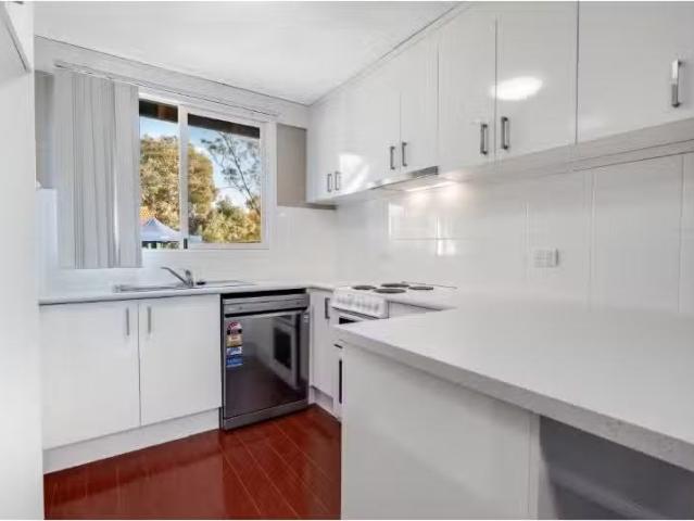 Charming 6/521 Margaret Place, LAVINGTON Apartment for rent L.