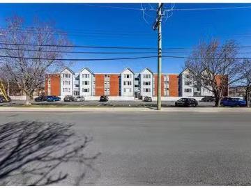 Apartment to rent in Newfoundland And Labrador - Terre-neuve-et-labrador