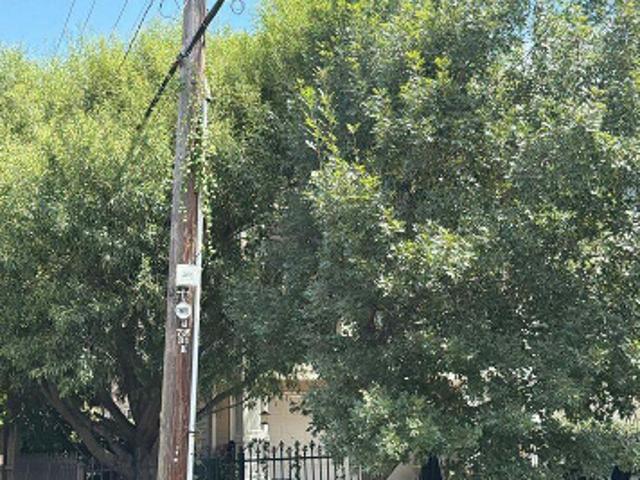 Nicholson St