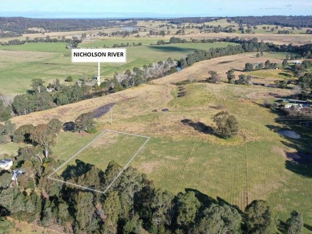 Nicholson River Views