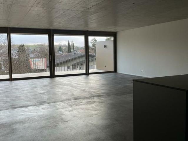 Nidau, splendid luxury duplex 5.5 rooms 205 m2 with parking and communal garden