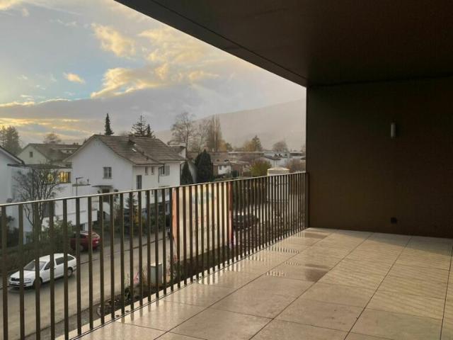 Nidau, splendide duplex haut standing 5.5 pces 205 m2 avec parking et jardin commun
