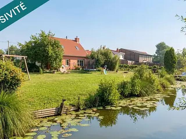 Nieurlet 59143 Achat / Vente maison 3 pièces t3