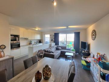 8880, Roeselare, Roulers, Flandre-Occidentale, Flandre