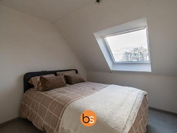 8800, Roeselare, Roulers, Flandre-Occidentale, Flandre