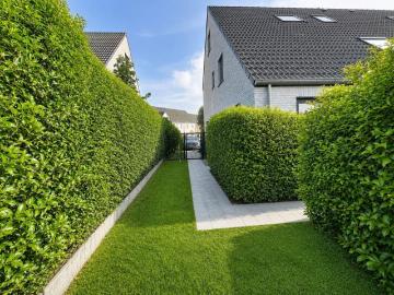 Nieuwbouw woning met 5 slaapkamers te huur in Zwevezele