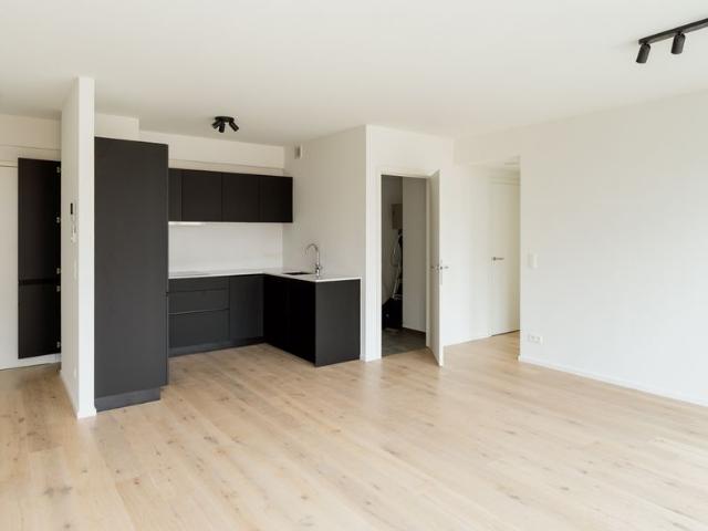 In OPTION by George: nieuwbouwappartement* van ontwerpbureau Stramien cv in project Rijnpoort