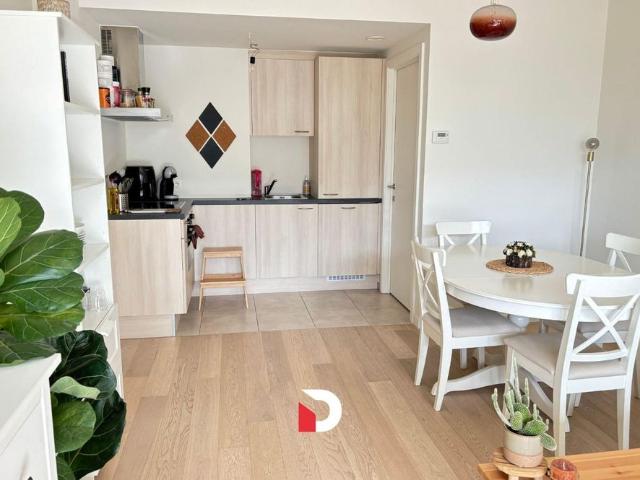 Nieuwbouwappartement met 1 slaapkamer en terras in groen kader vlakbij Brugge