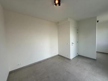8870, Roeselare, Roulers, Flandre-Occidentale, Flandre