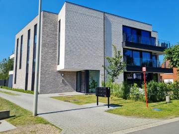 2240, Arrondissement de Anvers, Province de Anvers, Flandre