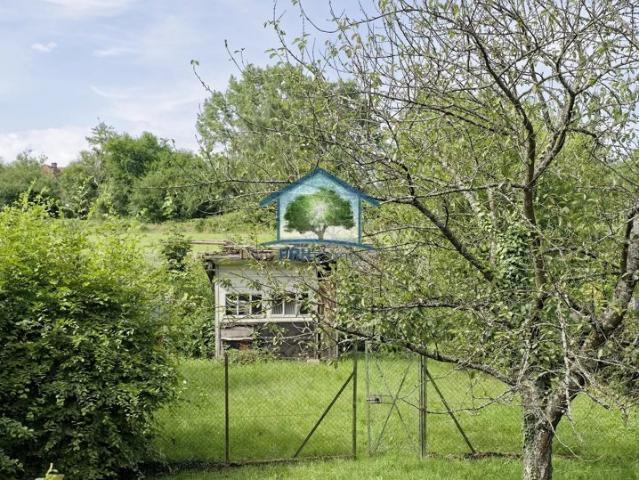 NIEDERBRONN LES BAINS 67 MAISON 7 PIECES SUR 9,4 ARES