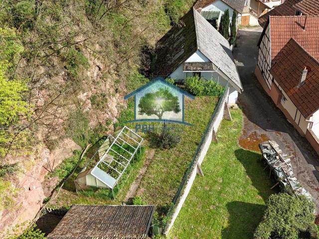 NIEDERSTEINBACH 67 MAISON AVEC JARDIN ET DEPENDANCE