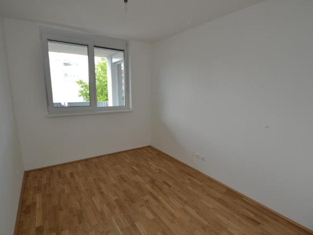Niesenbergergasse, 8020 Graz