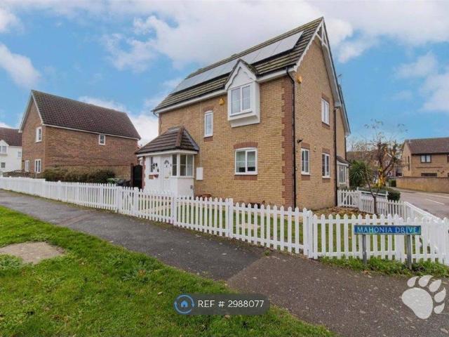 Nightingales, Langdon Hills, Basildon SS16, 4 bed detached house to rent, £2,350 pcm | PrimeLocation