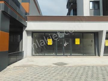 Kızılcıklı, Nilüfer, Nilüfer, Bursa ili, Marmara Bölgesi