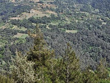 Dağyenice, Nilüfer, Nilüfer, Bursa ili, Marmara Bölgesi
