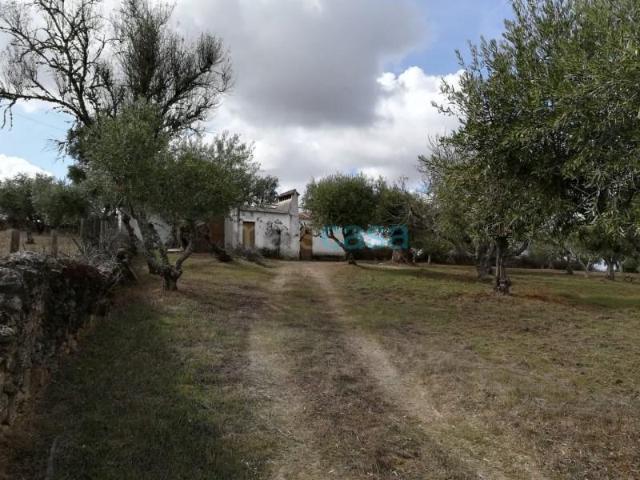 Nisa Nisa 103982268