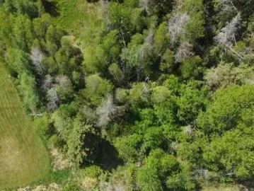 No 6 Trunk Highway, Wallace, NS, B0K 1Y0 vacant land for sal.