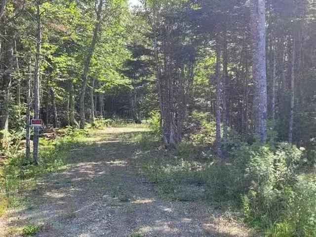 No # Morrison Road, Mira Road, NS, B1M 1B7 vacant land for s.