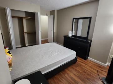Nommi C Has an Apartment