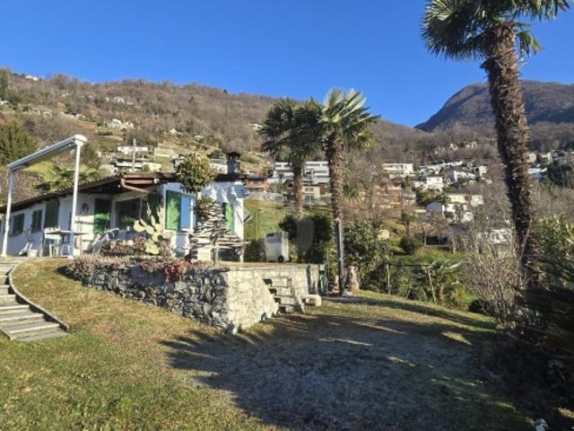 NON PIU' DISPONIBILE