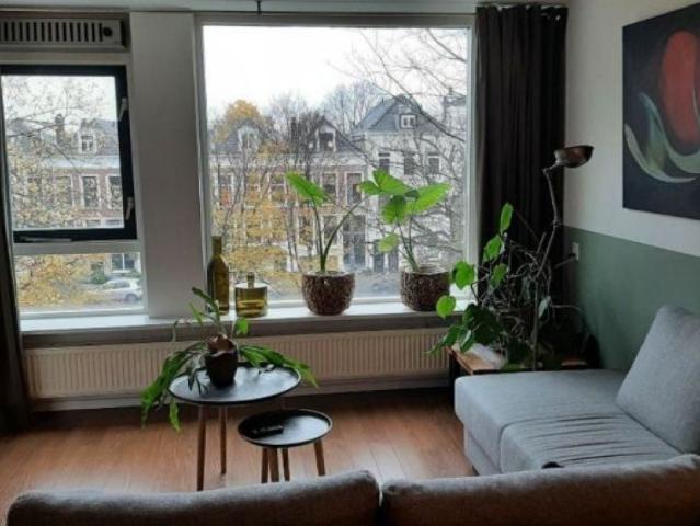 Noordsingel, Rotterdam