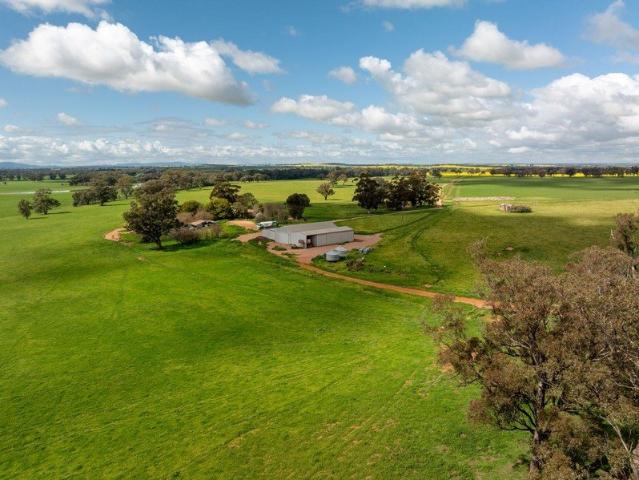 NOORLA 2356 acres Quality Mixed Farming 953.47 ha Midway Temora Junee