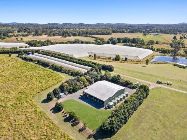 Noosa Hinterland Horticulture and Lifestyle Opportunity