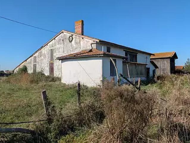 Noaillac 33190 Achat / Vente maison 4 pièces t4