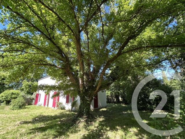 Noaillan Vente Maison 33