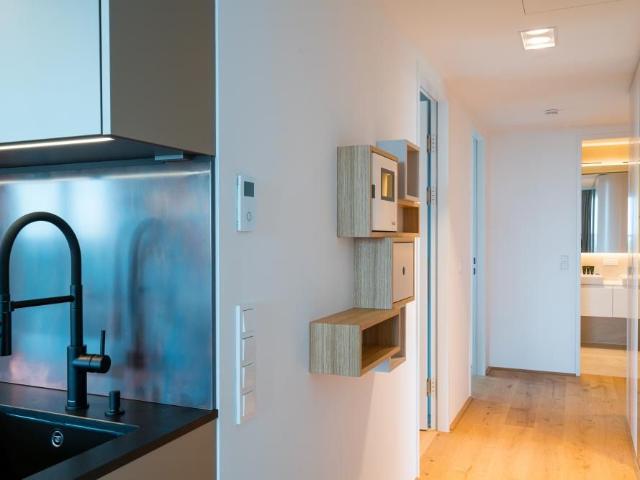 Noble apartment with classy interior and unique view over the river Danube, Vienna Amsterdam Apartments for Rent