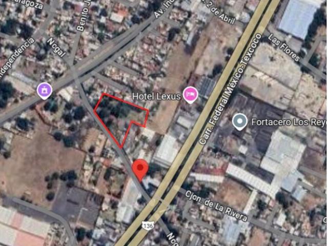 Nogal, La Magdalena Atlicpac, La Paz, Estado de M?xico