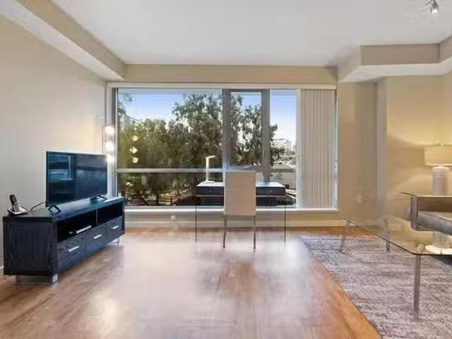 North Almaden Avenue
