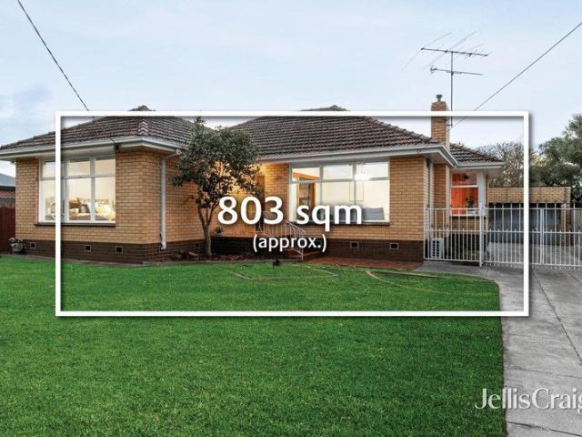 North facing 803sqm opportunity in premium Geelong West pocket