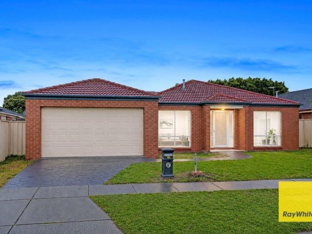 North Facing Family Entertainer on Approx 720 sqm Block!