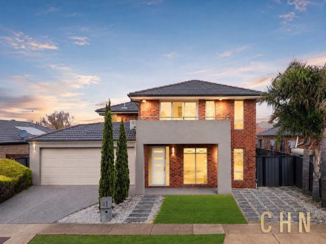 North Facing Family Living with Multiple Living Zones and Alfresco Entertaining