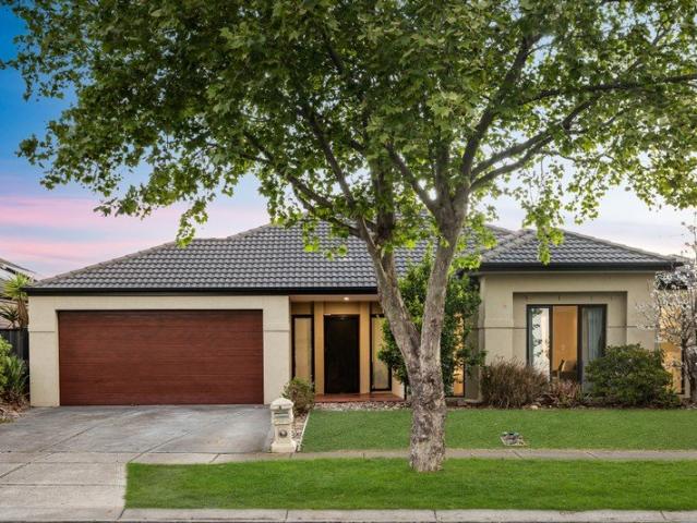 North Facing Family Living with Five Bedrooms, Theatre & Alfresco Entertaining