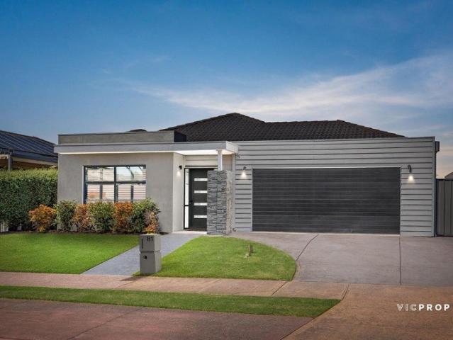 North Facing Family Living with Room to Entertain