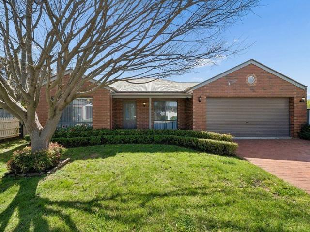 North Facing Warmth, Low Maintenance Charm
