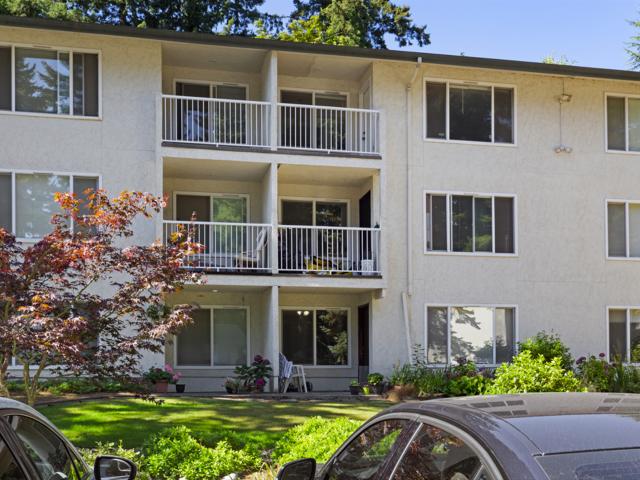North Haven Apartments