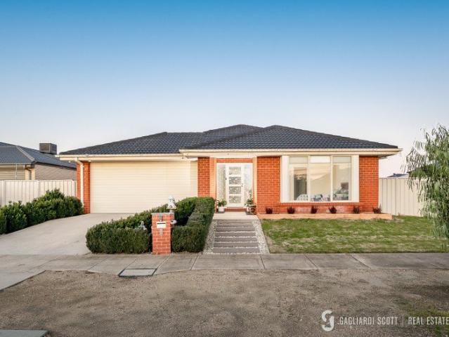 NORTH SHEPPARTON 7 YEARS OLD!