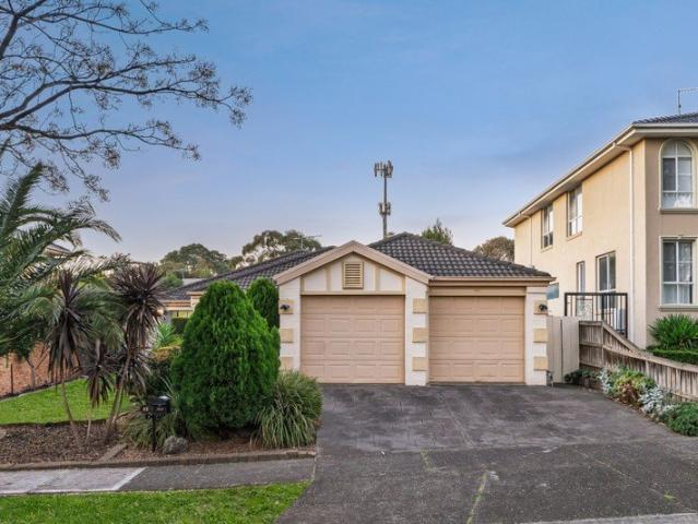 Northerly Light Stars in Botanica Park Estate