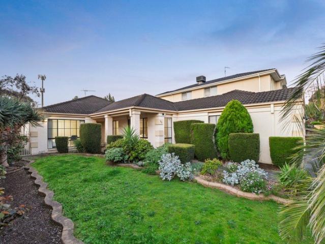 Northerly Light Stars in Botanica Park Estate
