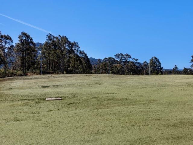 Northerly Rear Aspect in Maculata Park