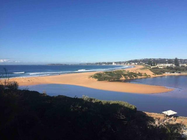 Northern Beaches Tree Tops Upper 66 Samuel Street