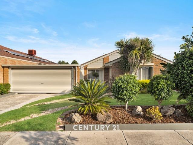 Northside Beauty with Space, Style & Superb Outdoor Living!