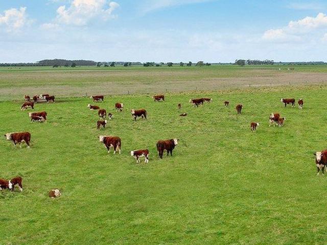 Notable Cattle Country Longstanding Family Ownership