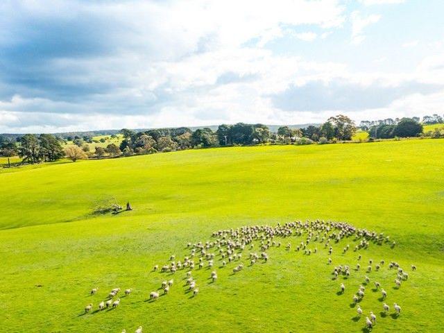 NOTED BALLARAT DISTRICT PROPERTY